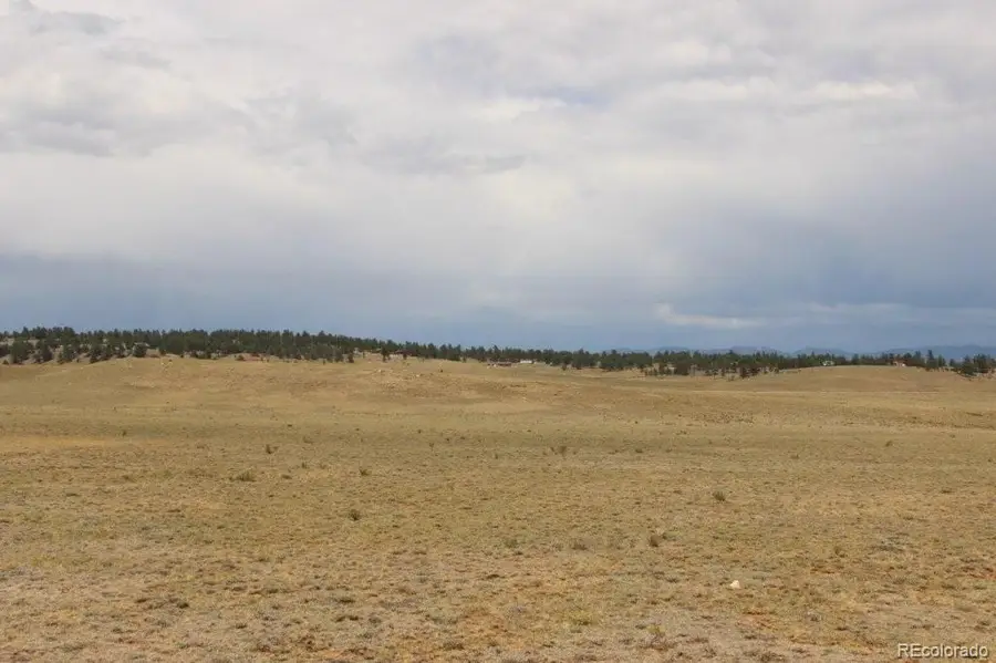 389 Chipita Trail, Hartsel, CO 80449 - #3