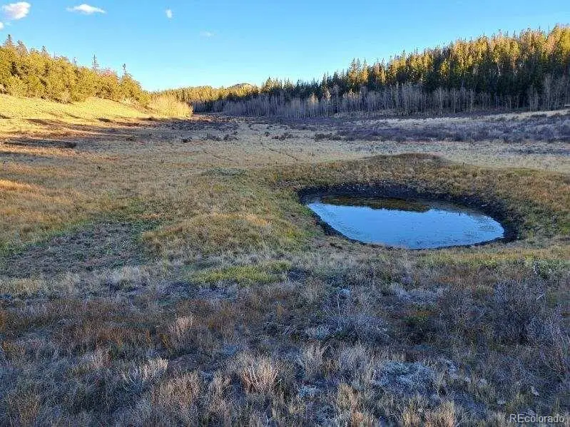 00 Haida Lane, Como, CO 80432 - Image #2