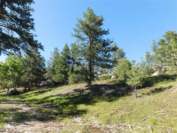 5884 Seminole Trail, Larkspur, CO 80118