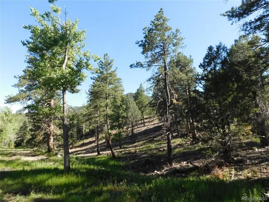 5884 Seminole Trail, Larkspur, CO 80118 - #2