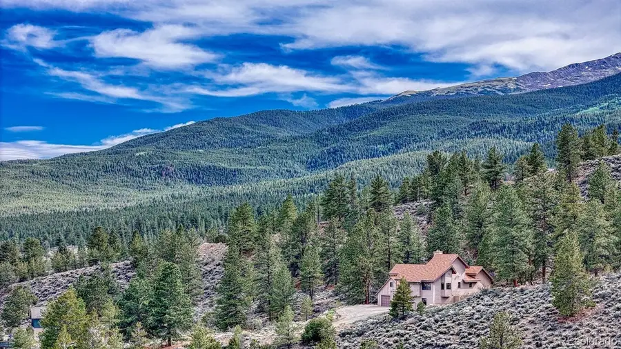 37811 Twin Kopie Road, Buena Vista, CO 81211 - #3