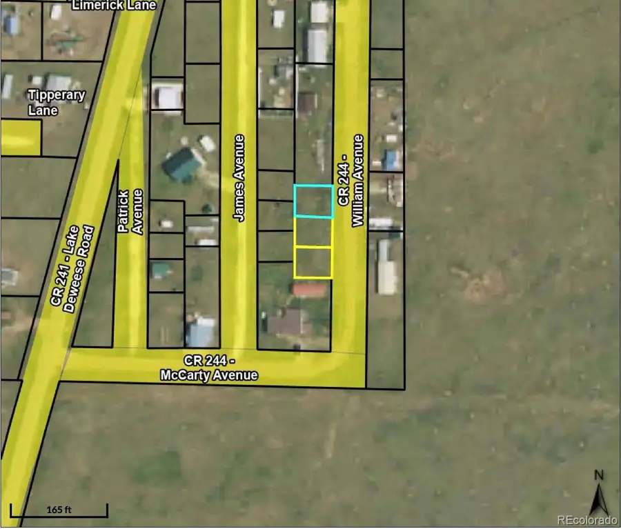 35 Williams Avenue, Westcliffe, CO 81252 - #3