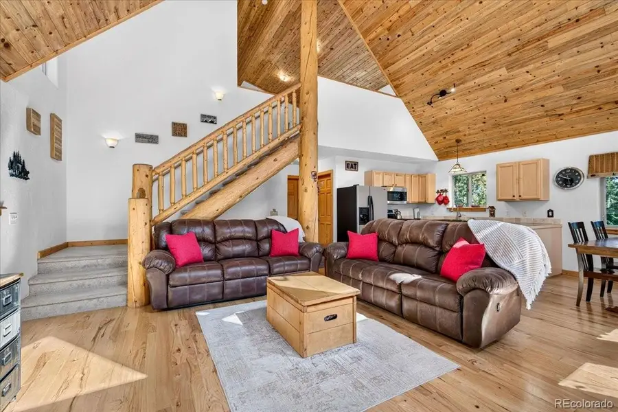 255 Bum Drive, Fairplay, CO 80440 - #3