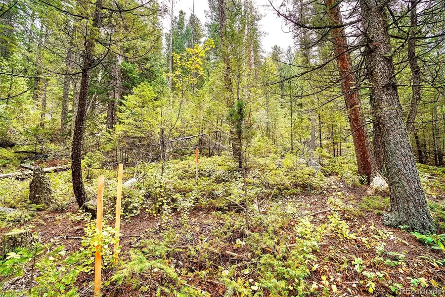 10862-10872 Twin Spruce Road, Golden, CO 80403 - #2