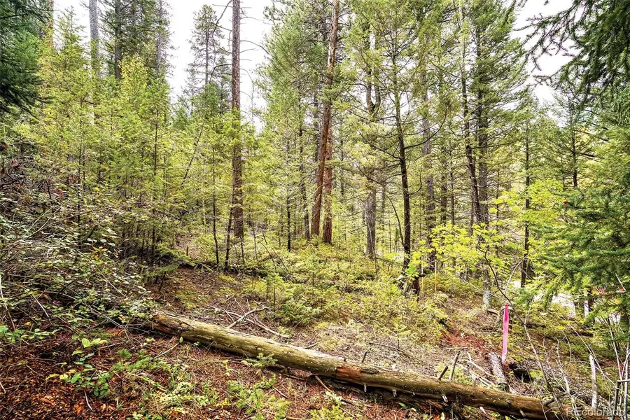 10862-10872 Twin Spruce Road, Golden, CO 80403 - #3