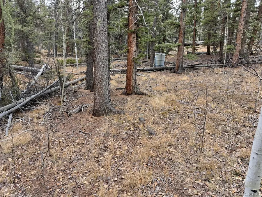 210 Tepee Trail, Como, CO 80432 - Image #2
