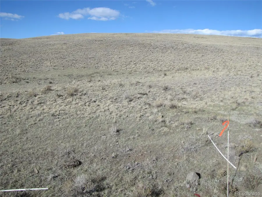 Lot 4523 Black Beaver Circle, Hartsel, CO 80449 - #2