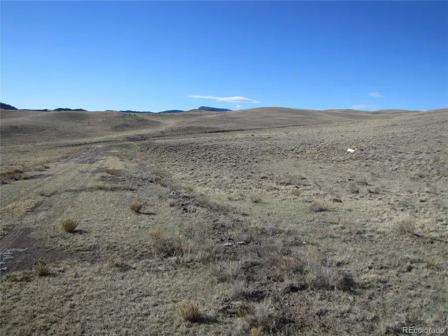 Lot 4523 Black Beaver Circle, Hartsel, CO 80449 - #3
