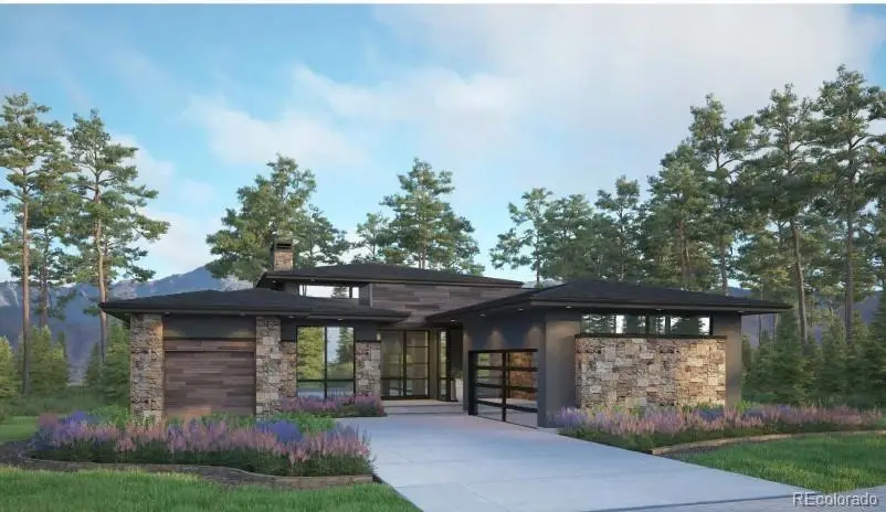 7989 Painted Pine Street, Parker, CO 80134 - #1