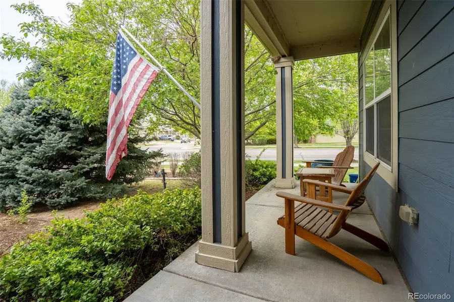 163 Garfield Lane, Erie, CO 80516 - #3