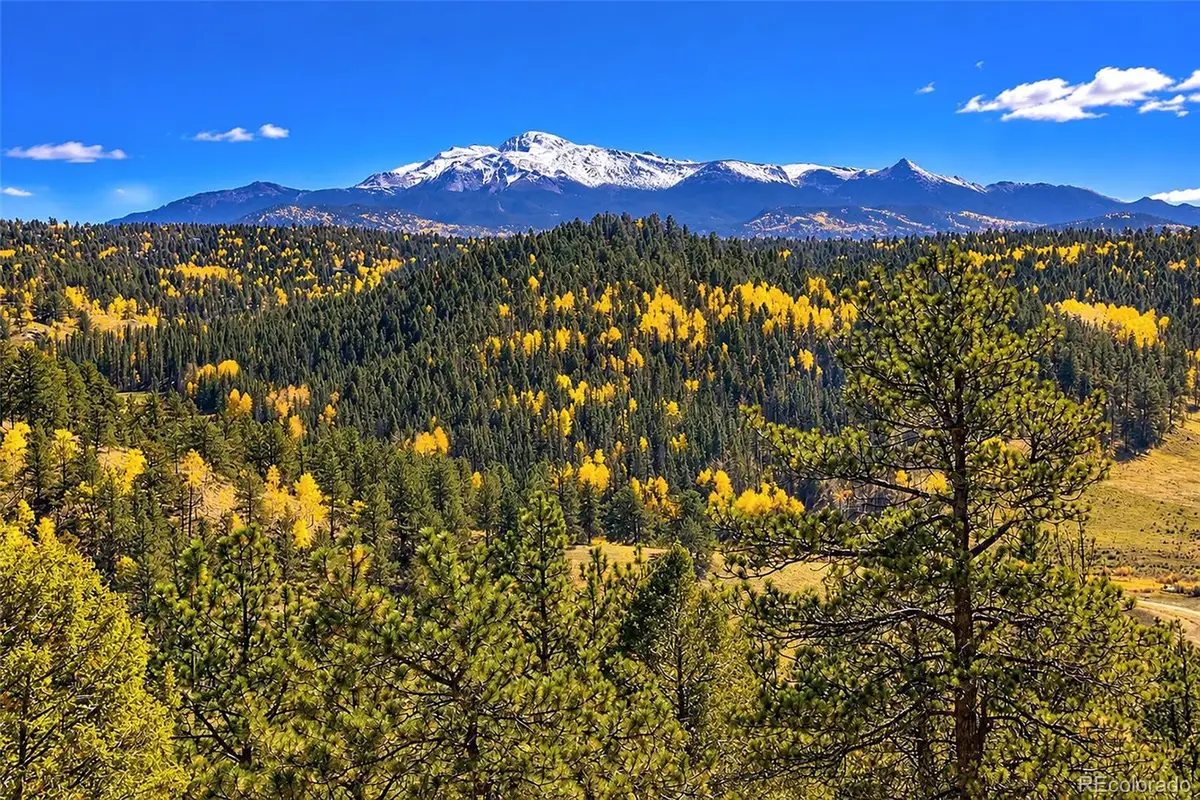 72 Buffalo Creek, Florissant, CO 80816 - #1