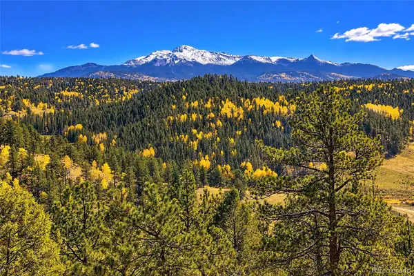 72 Buffalo Creek, Florissant, CO 80816