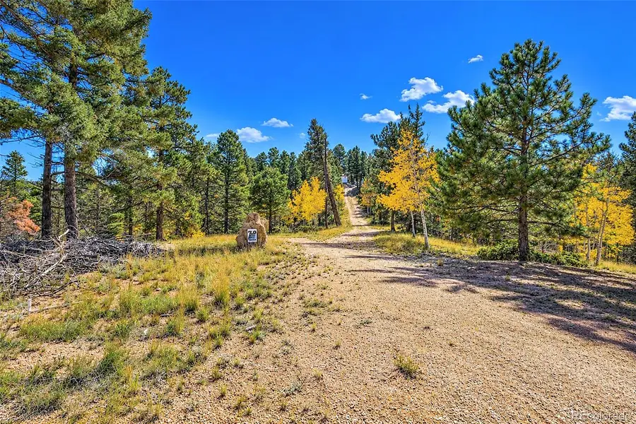 72 Buffalo Creek, Florissant, CO 80816 - #2