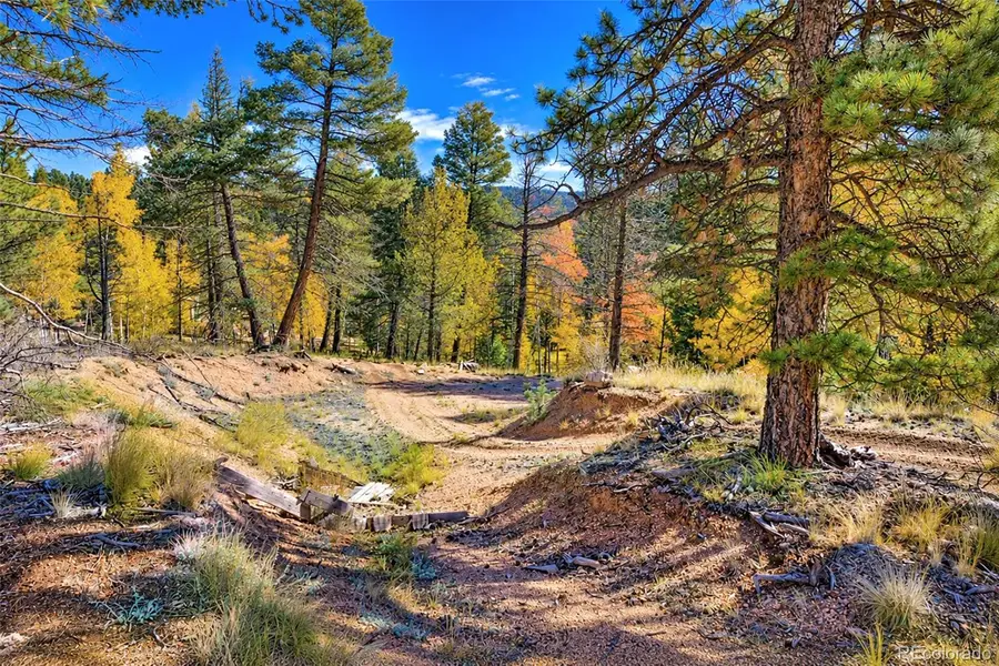 72 Buffalo Creek, Florissant, CO 80816 - #3