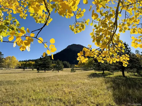 1965 Vagabond Creek Drive, Lake George, CO 80827