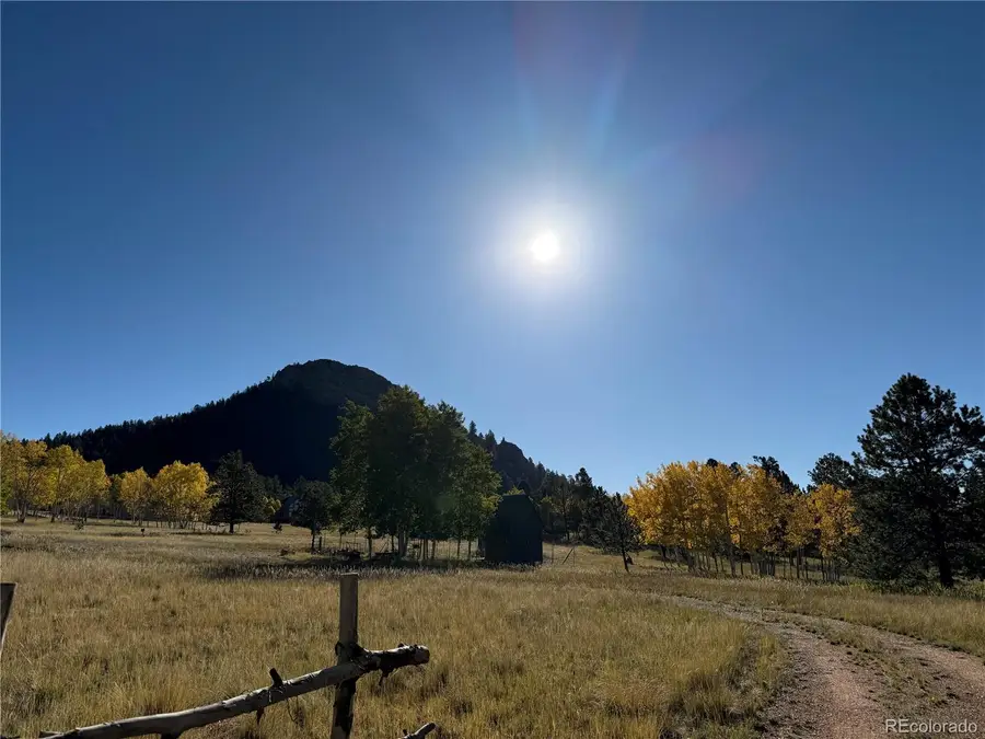 1965 Vagabond Creek Drive, Lake George, CO 80827 - Image #3