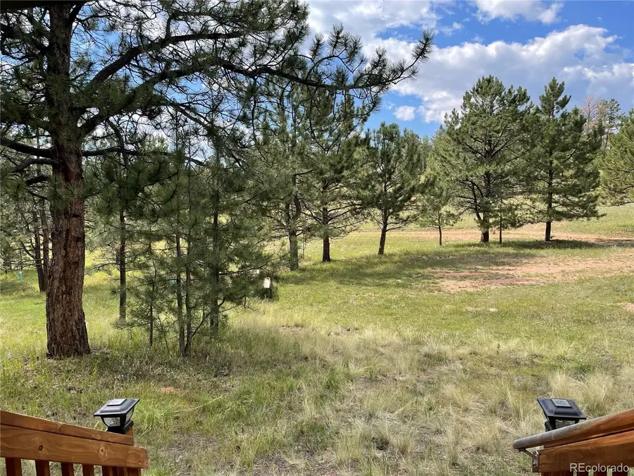 330 Arrowhead Drive, Florissant, CO 80816 - #2