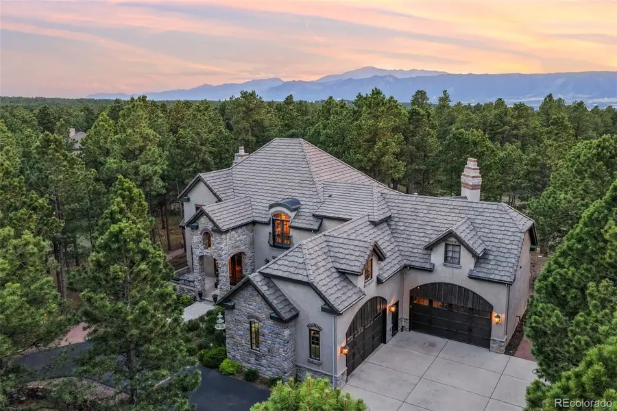 18882 Pagentry Place, Monument, CO 80132 - #2