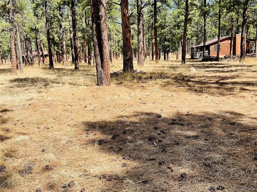 Blk 4 Lot 6, Weston, CO 81091 - #3