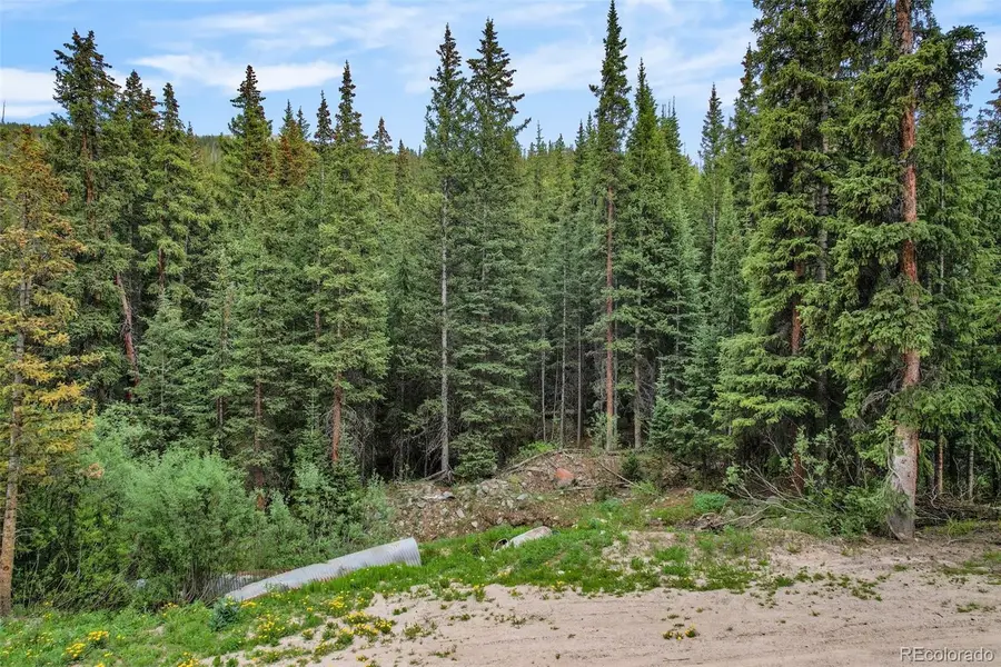 286 Cty Road 675, Breckenridge, CO 80424 - #3