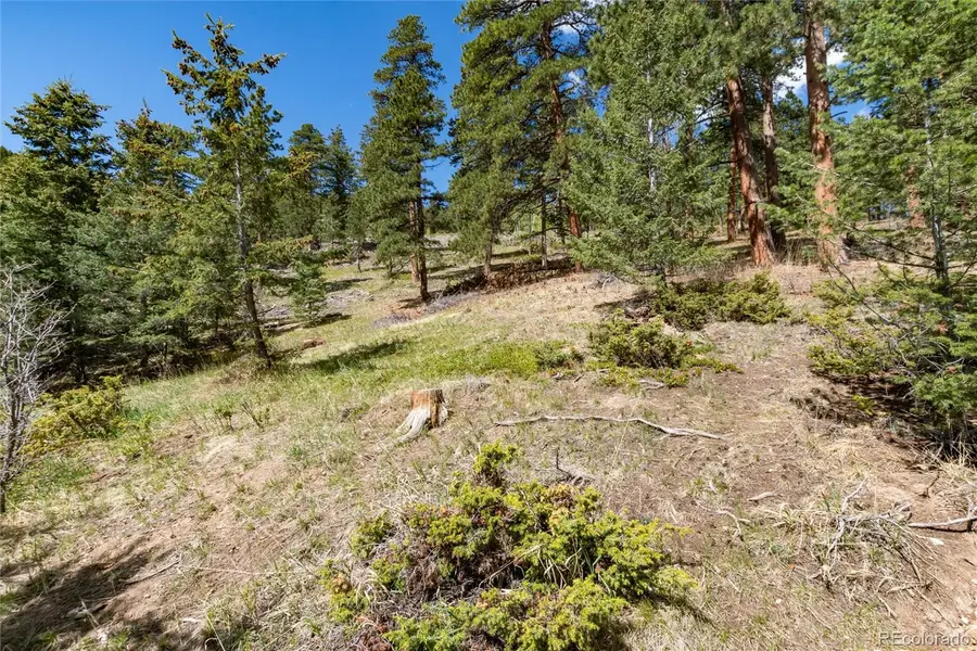 9701 City View Drive, Morrison, CO 80465 - #2