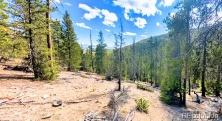 111 Kevin Gulch Road, Leadville, CO 80461
