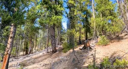 111 Kevin Gulch Road, Leadville, CO 80461 - #3