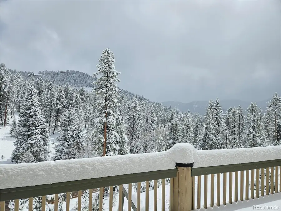 7291 Brook Forest Drive, Evergreen, CO 80439 - #3