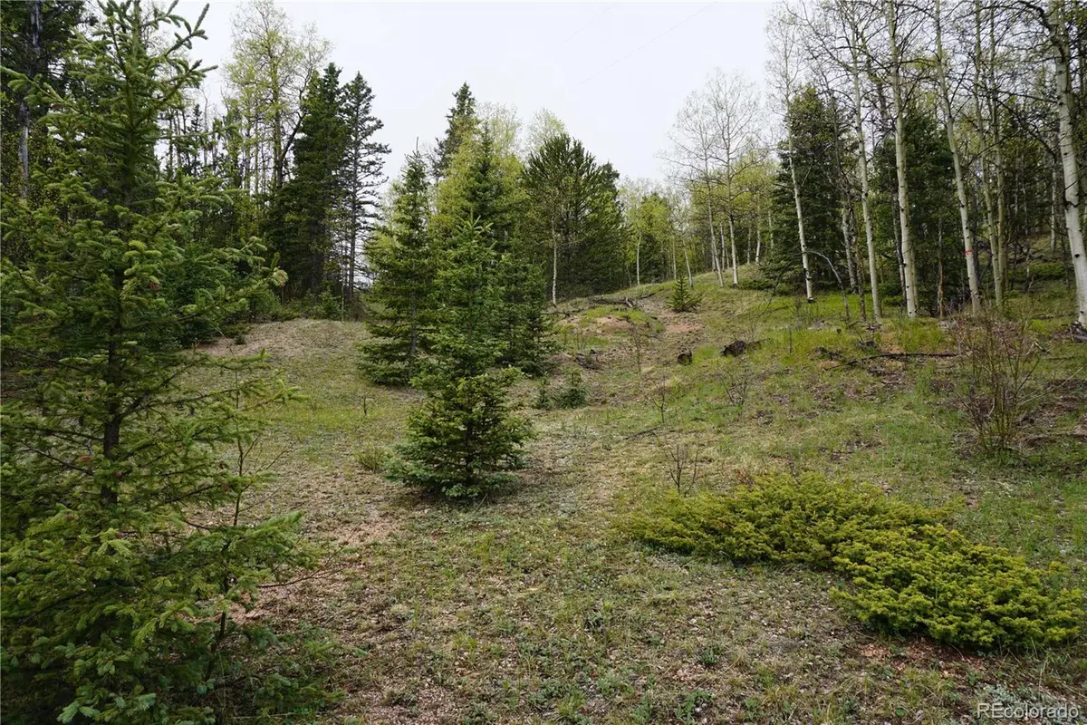 Vacant Land, Cripple Creek, CO 80813 - #1