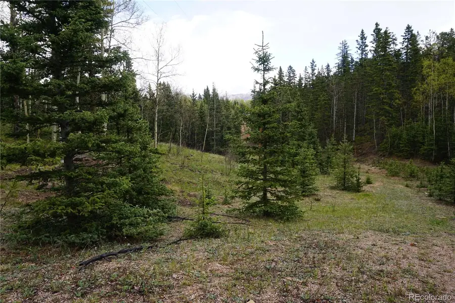 Vacant Land, Cripple Creek, CO 80813 - #2
