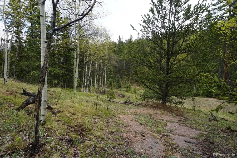 Vacant Land, Cripple Creek, CO 80813 - #3