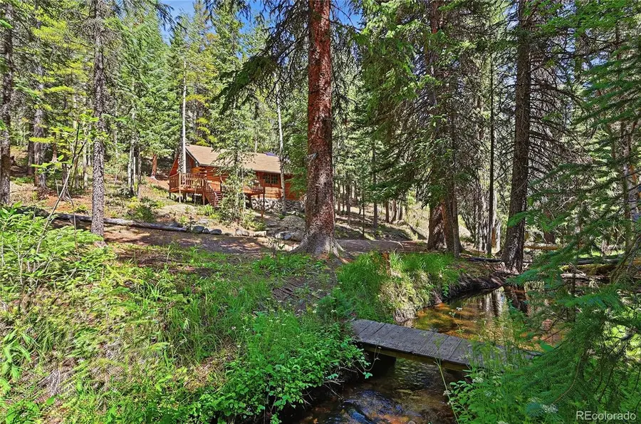 907 Hefferman Gulch Road, Idaho Springs, CO 80452 - #2