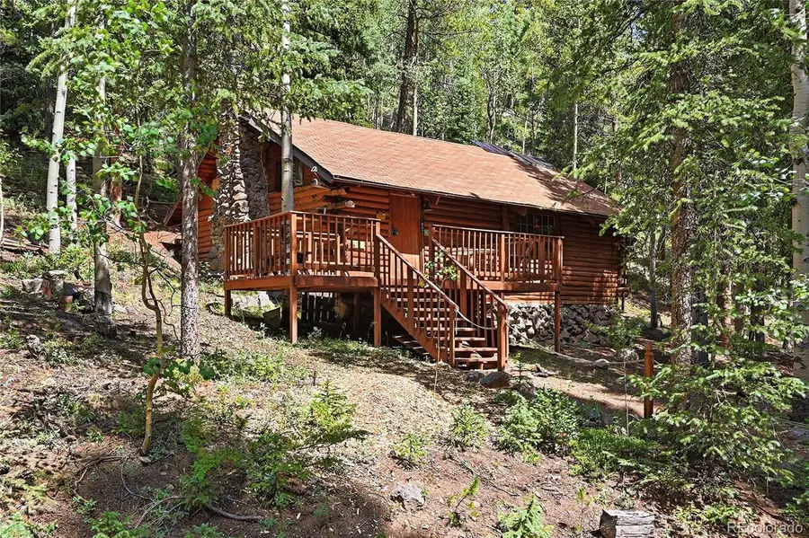 907 Hefferman Gulch Road, Idaho Springs, CO 80452 - #3