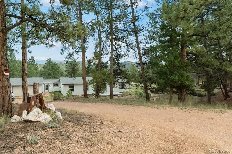 1058 Hackamore Drive, Florissant, CO 80816 - Image #2