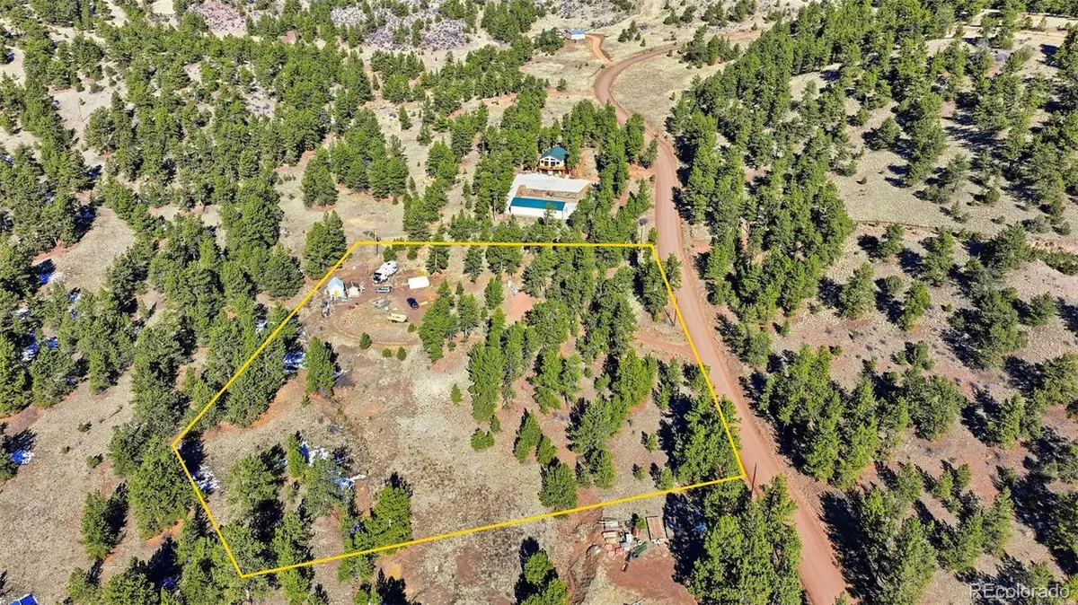 133 Wagon Wheel Circle, Guffey, CO 80820 - #1