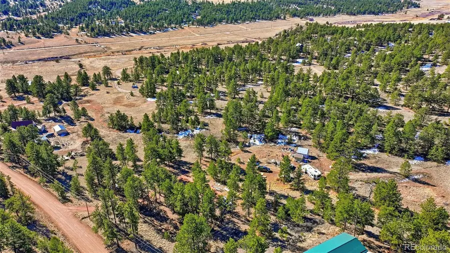 133 Wagon Wheel Circle, Guffey, CO 80820 - #3
