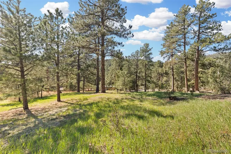 7186 Julie Lane, Evergreen, CO 80439 - #3