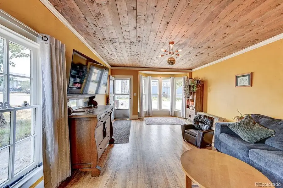 520 Chestnut Street, Leadville, CO 80461 - #3