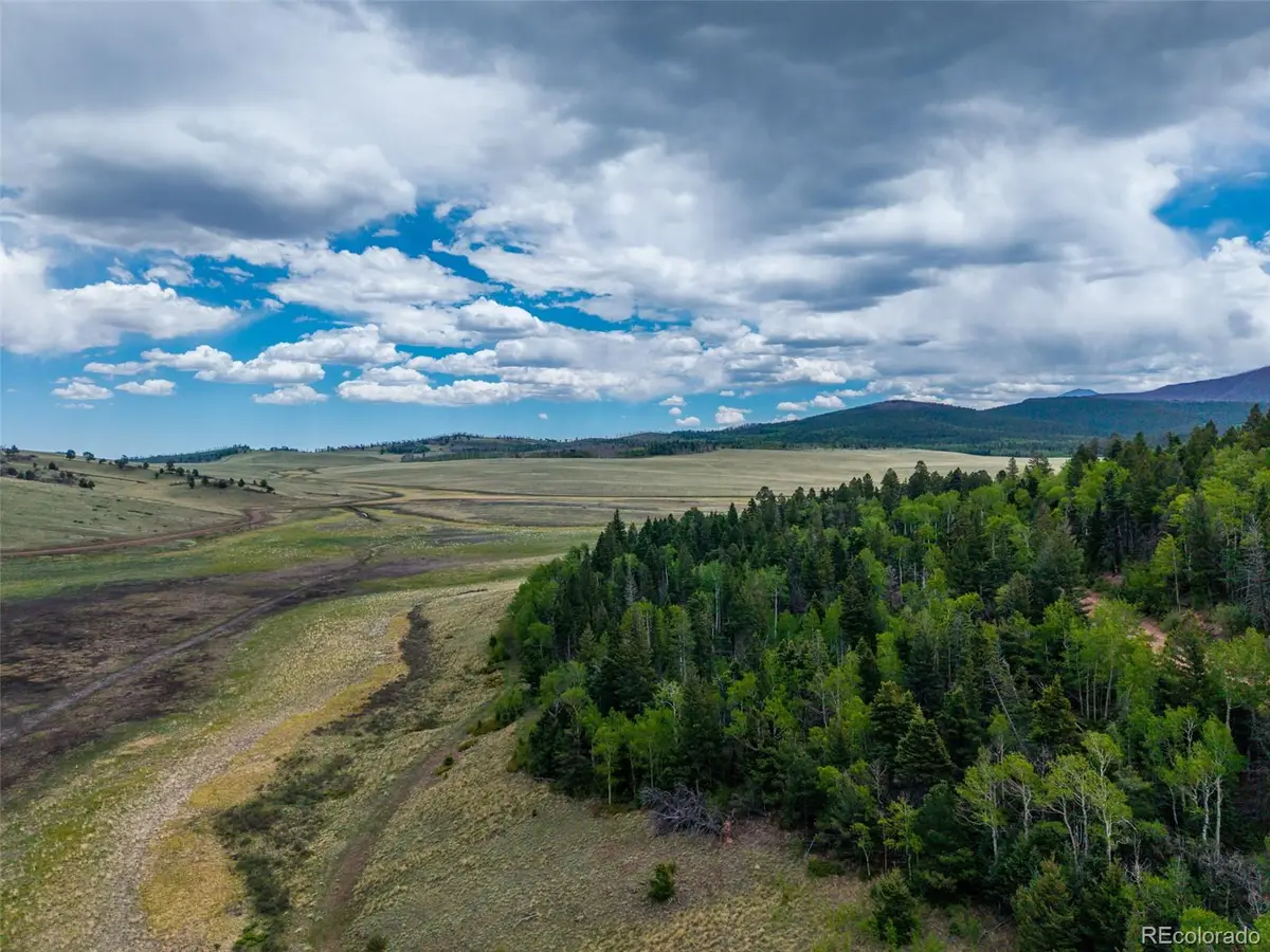 2348 Benton Place, Fort Garland, CO 81133 - #1