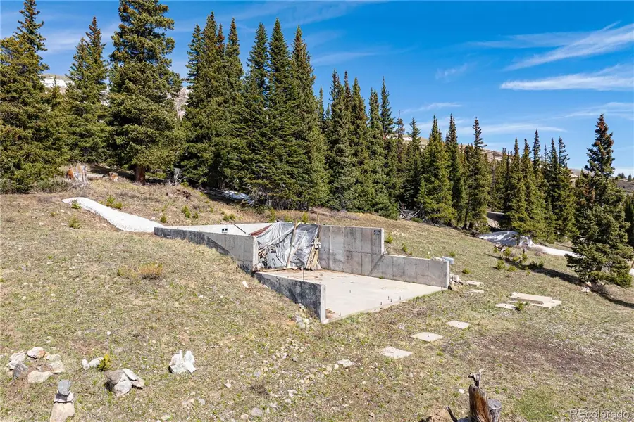 392 Pyrite Place, Fairplay, CO 80440 - #3