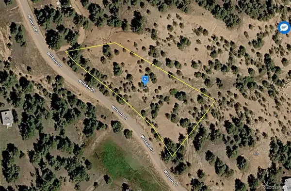 228 Wilson Drive, Florissant, CO 80816