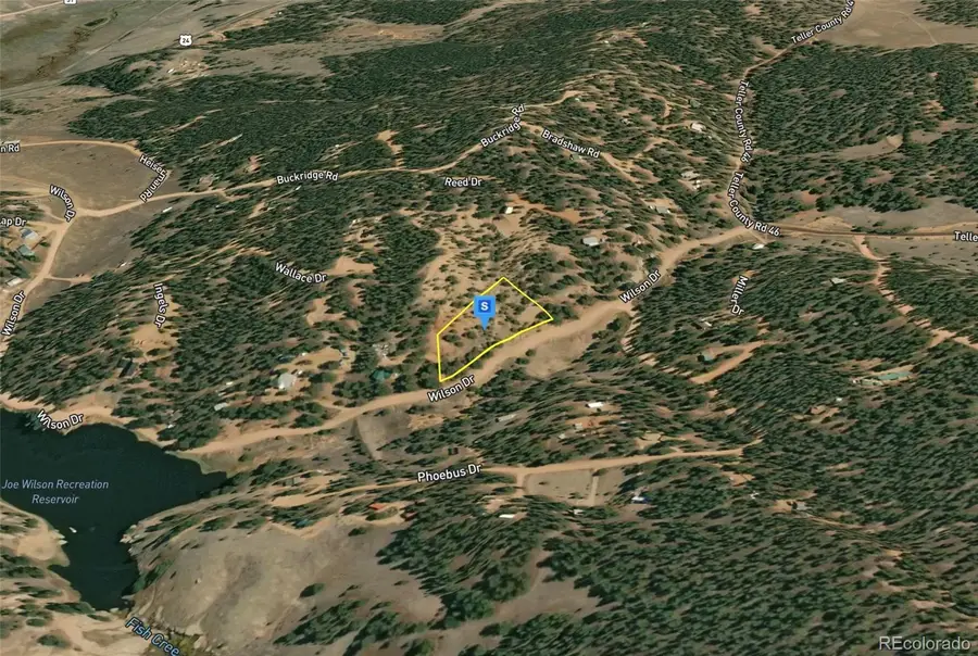 228 Wilson Drive, Florissant, CO 80816 - #2