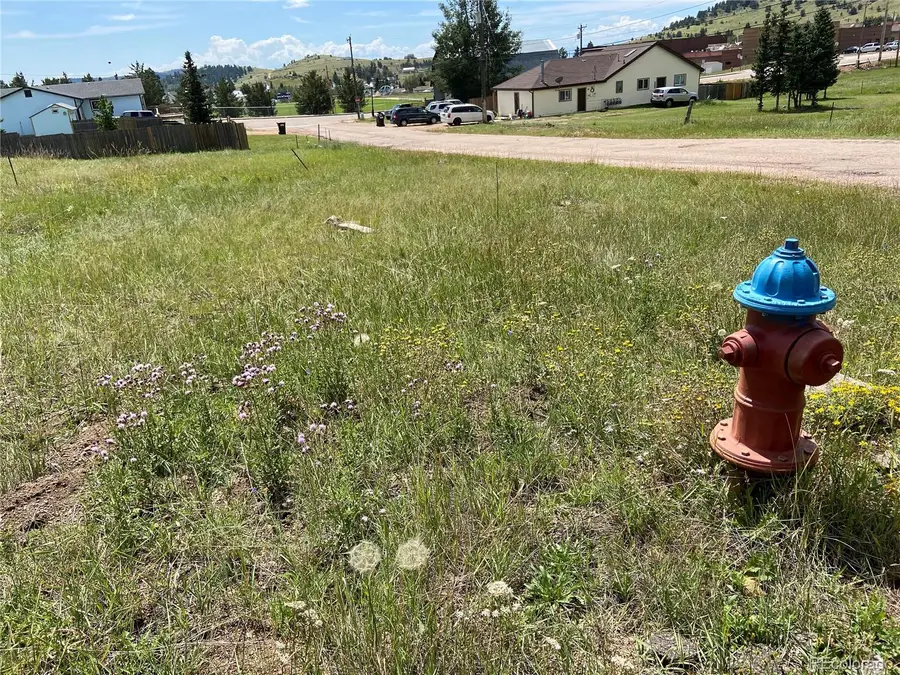 N A Street, Cripple Creek, CO 80813 - #3