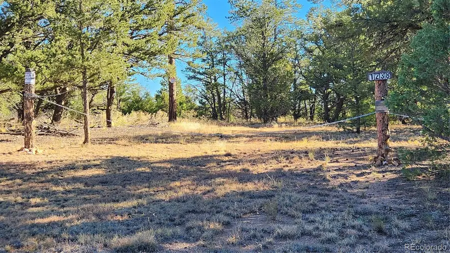 1238 17th Trail, Cotopaxi, CO 81223 - Image #2