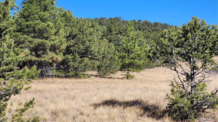 1238 17th Trail, Cotopaxi, CO 81223 - Image #3