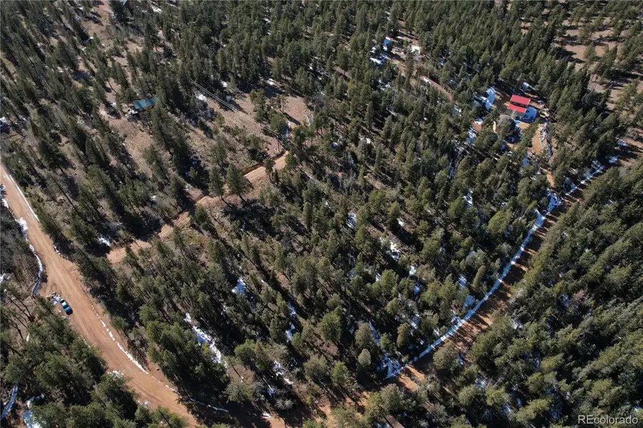 927 Forest Drive, Bailey, CO 80421 - #3
