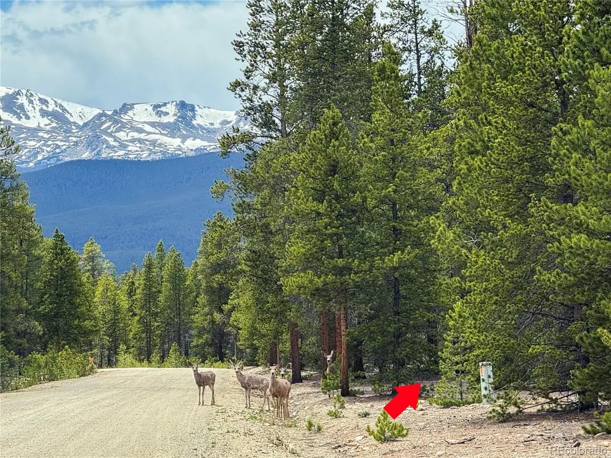 201 Snowshoe Rabbit Drive, Leadville, CO 80461 - #1