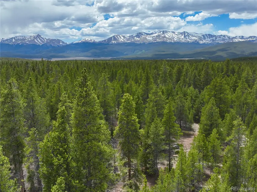 201 Snowshoe Rabbit Drive, Leadville, CO 80461 - #3