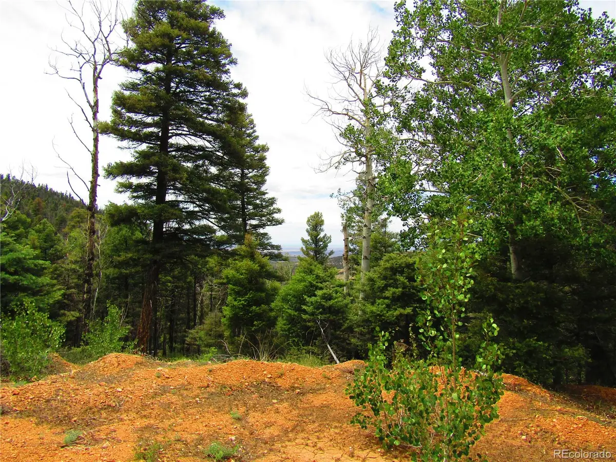 LOT 6029 Spruce Road, San Luis, CO 81152 - #1