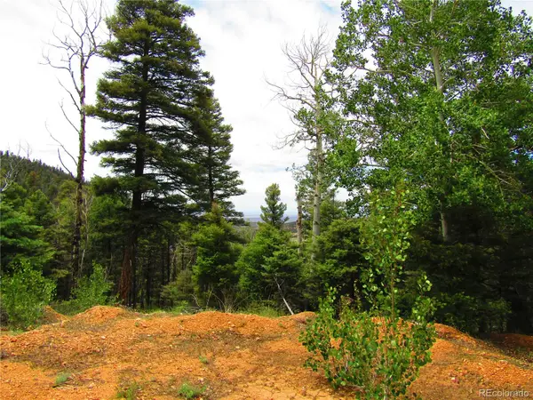 LOT 6029 Spruce Road, San Luis, CO 81152